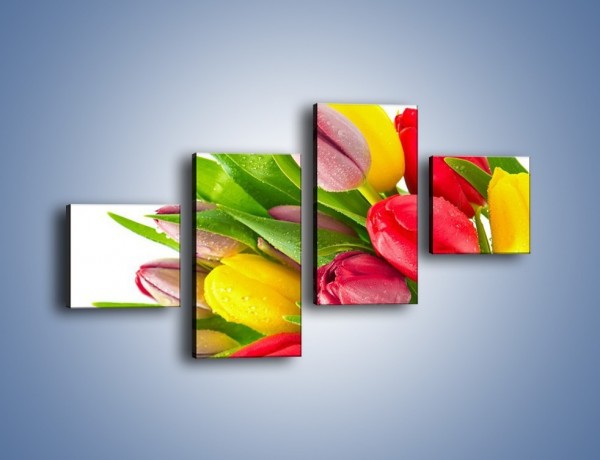 Obraz na płótnie – Kropelki wody na kolorowych tulipanach – czteroczęściowy K049W3