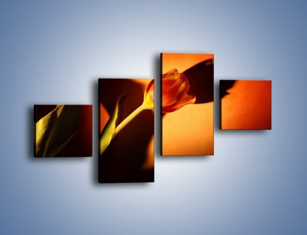 Obraz na płótnie – Tulipan w cieniu – czteroczęściowy K064W3