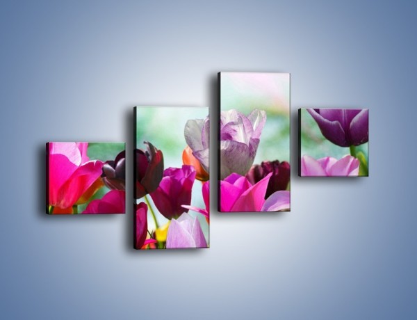 Obraz na płótnie – Tulipany o poranku – czteroczęściowy K081W3