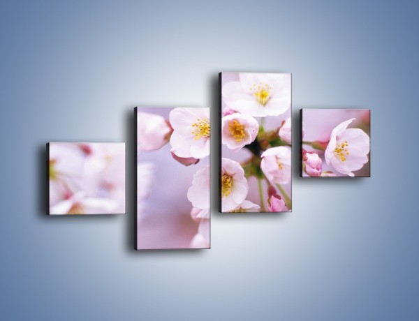 Obraz na płótnie – Gałązka kwiatów jabłoni – czteroczęściowy K102W3