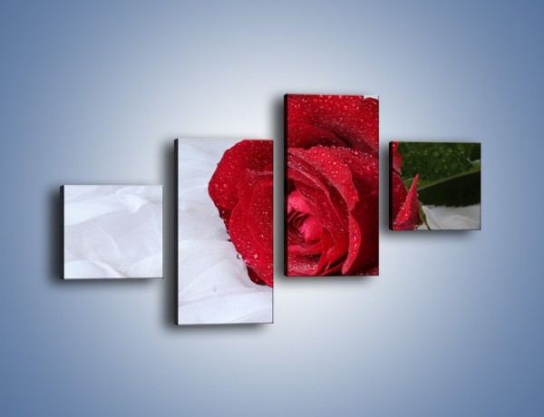 Obraz na płótnie – Bordowa róża na białej pościeli – czteroczęściowy K1023W3