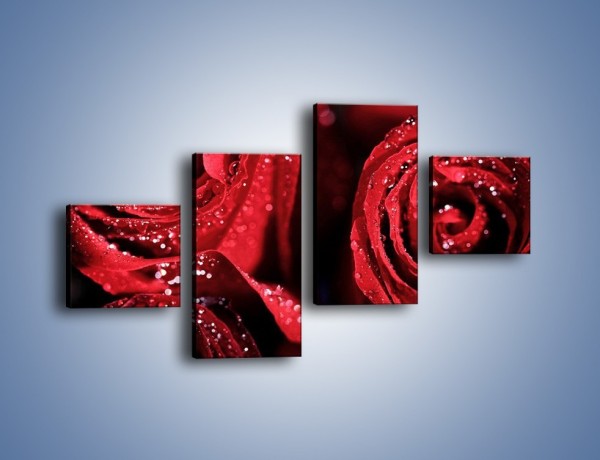 Obraz na płótnie – Róża czerwona jak wino – czteroczęściowy K170W3
