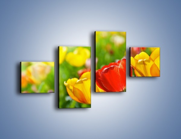 Obraz na płótnie – Wiosenne piękno w tulipanach – czteroczęściowy K213W3