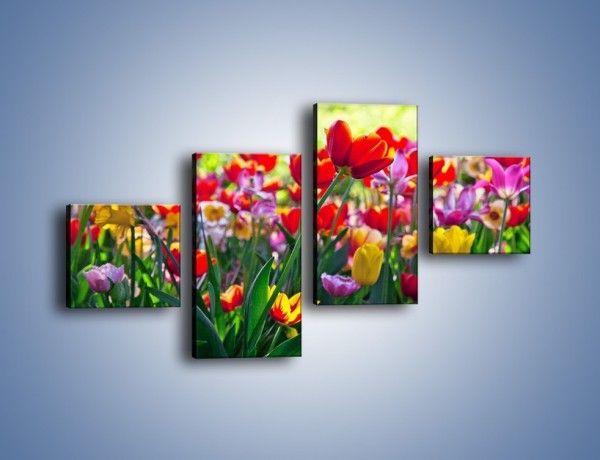 Obraz na płótnie – Odpoczynek wśród tulipanów – czteroczęściowy K218W3