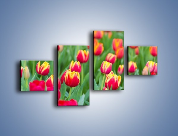 Obraz na płótnie – Spacer wśród czerwonych tulipanów – czteroczęściowy K231W3