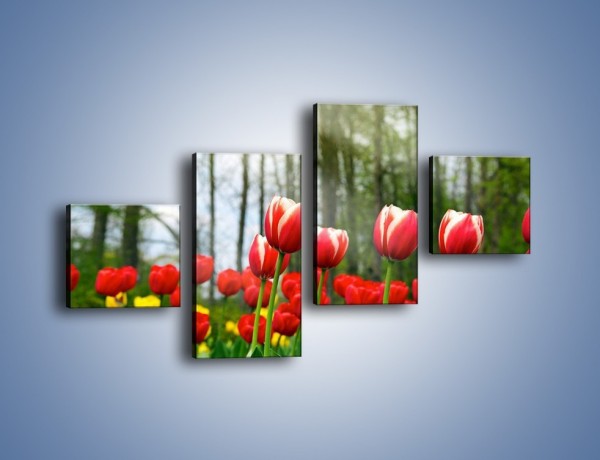 Obraz na płótnie – Leśna polana pełna tulipanów – czteroczęściowy K319W3