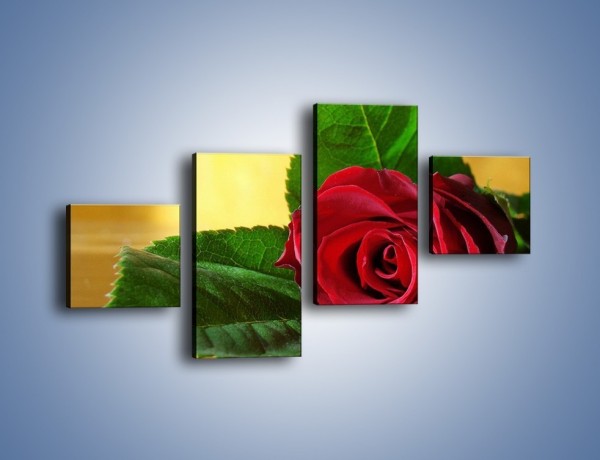 Obraz na płótnie – Róża w domowym zaciszu – czteroczęściowy K339W3