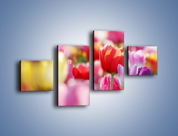 Obraz na płótnie – Boso przez tulipany – czteroczęściowy K344W3