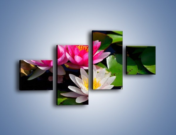 Obraz na płótnie – Pływające kwiaty – czteroczęściowy K392W3