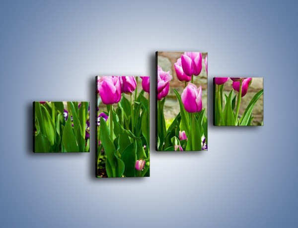 Obraz na płótnie – Tulipany w domowym ogródku – czteroczęściowy K409W3
