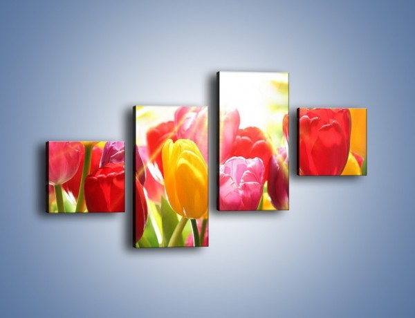 Obraz na płótnie – Bajecznie słoneczne tulipany – czteroczęściowy K428W3