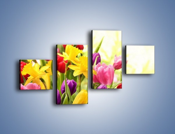 Obraz na płótnie – Żonkile wśród tulipanów – czteroczęściowy K430W3