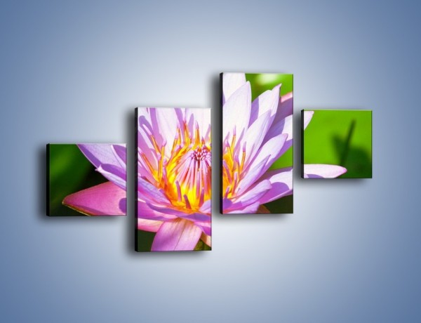 Obraz na płótnie – Wesoły kwiat w słońcu – czteroczęściowy K455W3