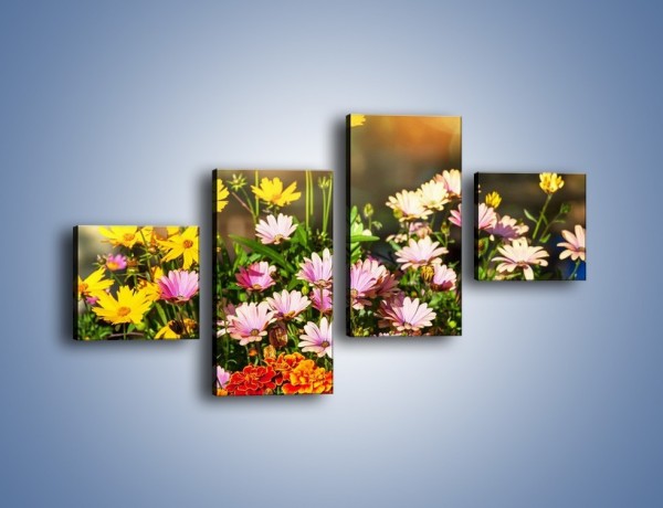 Obraz na płótnie – Polne kwiaty z uśmiechem – czteroczęściowy K456W3