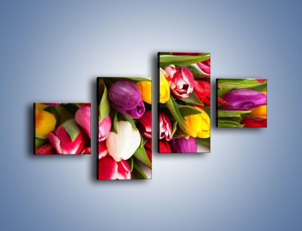 Obraz na płótnie – Spokój i luz zachowany w tulipanach – czteroczęściowy K538W3