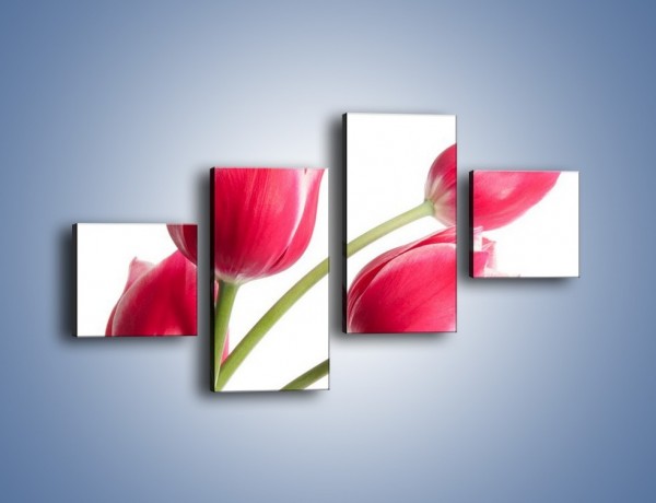 Obraz na płótnie – Pięć razy tulipany – czteroczęściowy K551W3