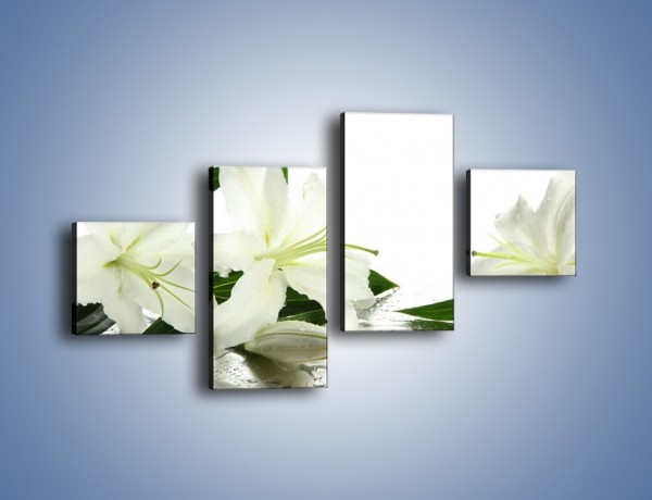 Obraz na płótnie – Czysta biel kwiatów – czteroczęściowy K633W3