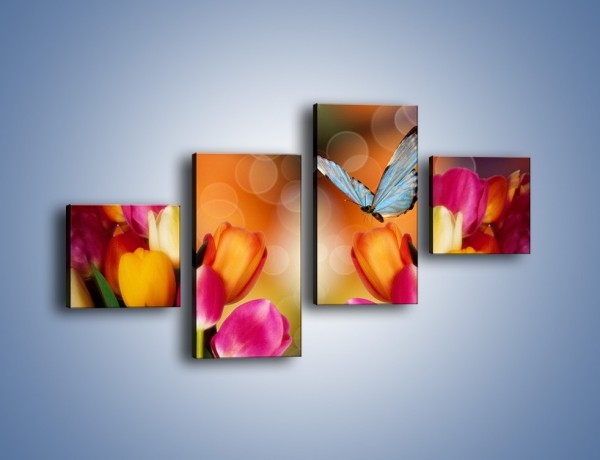 Obraz na płótnie – Motyl wśród tulipanów – czteroczęściowy K635W3