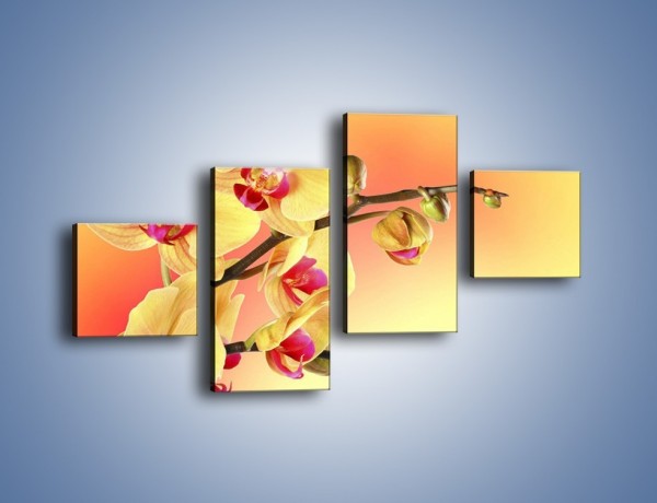 Obraz na płótnie – Kwiat w kolorze grejfruta – czteroczęściowy K649W3