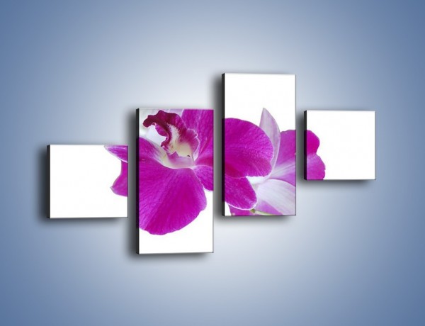 Obraz na płótnie – Rozwinięty kwiat w wodnym odbiciu – czteroczęściowy K673W3