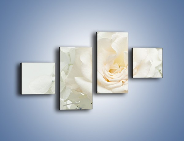 Obraz na płótnie – Czysta biel kwiatów – czteroczęściowy K712W3