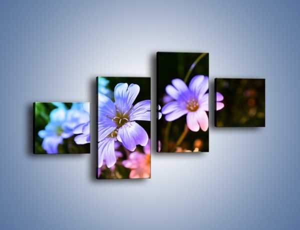 Obraz na płótnie – Niebieskie główki kwiatuszków – czteroczęściowy K769W3