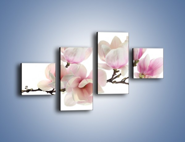 Obraz na płótnie – Zerwana gałązka magnolii – czteroczęściowy K780W3