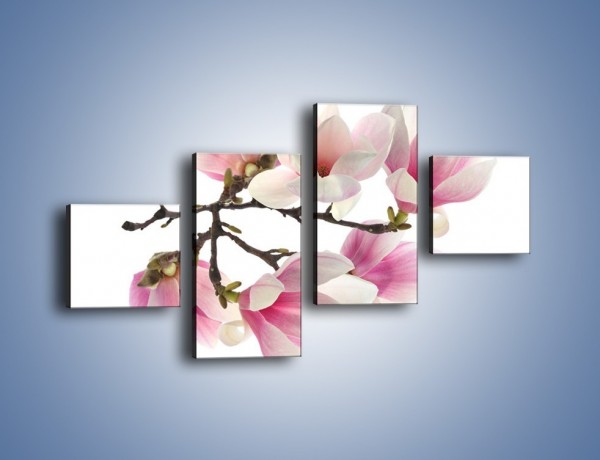 Obraz na płótnie – Wirujące kwiaty magnolii – czteroczęściowy K781W3