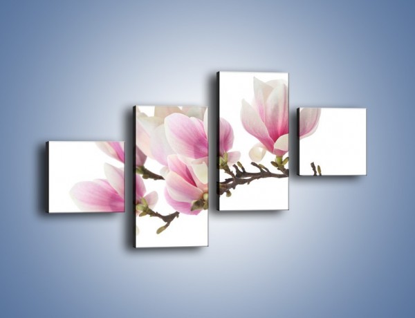 Obraz na płótnie – Rzut na gałąź magnolii – czteroczęściowy K782W3