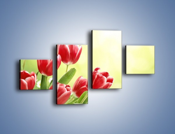 Obraz na płótnie – Polne tulipany i stokrotki – czteroczęściowy K789W3
