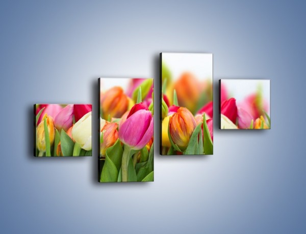Obraz na płótnie – Ogrzane w słońcu tulipany – czteroczęściowy K792W3
