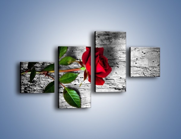 Obraz na płótnie – Róża na surowym tle – czteroczęściowy K843W3