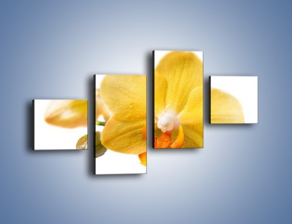 Obraz na płótnie – Kwiat jak soczysta pomarańcza – czteroczęściowy K851W3