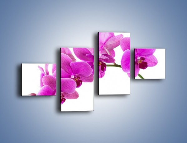 Obraz na płótnie – Kwiaty w lewą stronę – czteroczęściowy K853W3