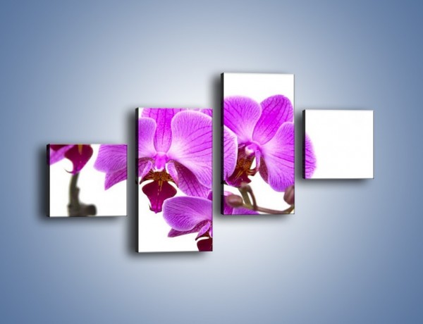 Obraz na płótnie – Samotne kwiaty bez dodatków – czteroczęściowy K870W3