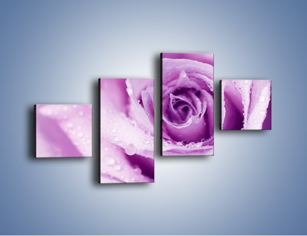 Obraz na płótnie – Jasny fiolet w róży – czteroczęściowy K894W3