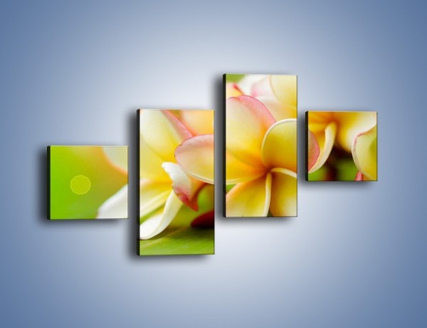 Obraz na płótnie – Kwiaty jak marcepanowe wypieki – czteroczęściowy K898W3