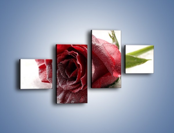 Obraz na płótnie – Zimne podłoże i czerwona róża – czteroczęściowy K933W3