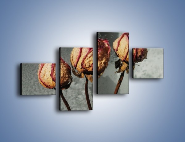Obraz na płótnie – Ususzone zmoczone róże – czteroczęściowy K944W3