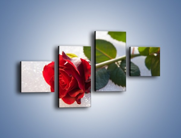 Obraz na płótnie – Gorąca róża na zmrożonej tafli – czteroczęściowy K946W3