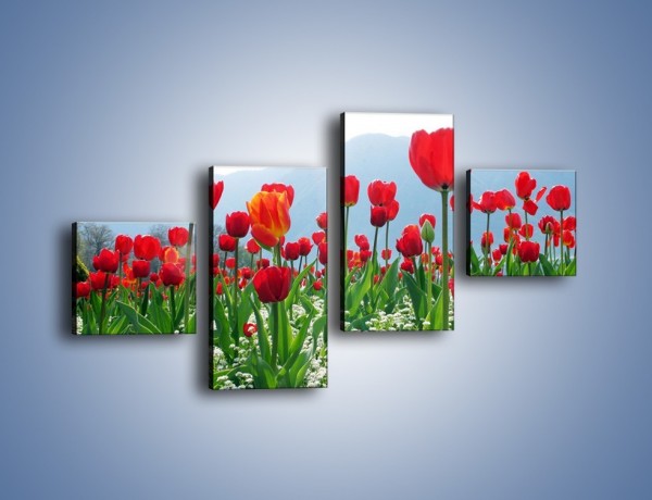 Obraz na płótnie – Konwalie wśród dojrzałych tulipanów – czteroczęściowy K947W3