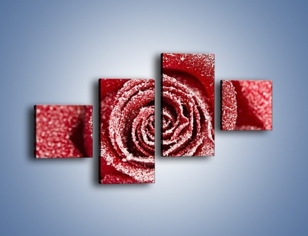 Obraz na płótnie – Szron na różanych płatkach – czteroczęściowy K958W3
