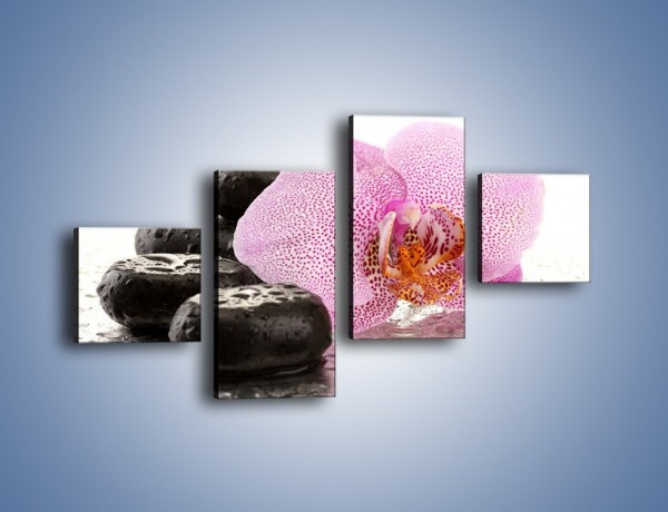Obraz na płótnie – Kwiat otoczony kamieniami – czteroczęściowy K967W3