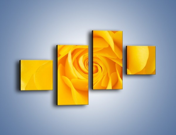 Obraz na płótnie – Moc żółtej róży – czteroczęściowy K989W3
