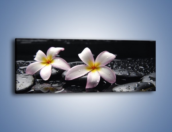 Obraz na płótnie – Delikatne kwiaty w kąpieli wodnej – jednoczęściowy panoramiczny K157