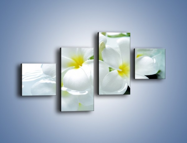 Obraz na płótnie – Białe kwiaty w potoku – czteroczęściowy K991W3
