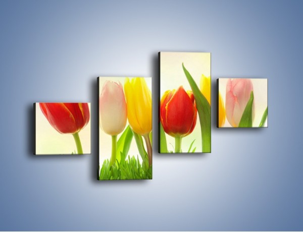 Obraz na płótnie – Sześć małych tulipanków – czteroczęściowy K996W3