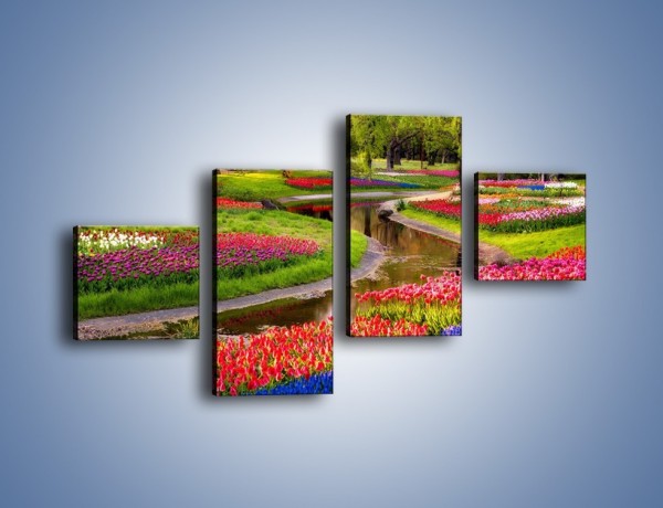 Obraz na płótnie – Aleje kolorowych tulipanów – czteroczęściowy KN1079W3