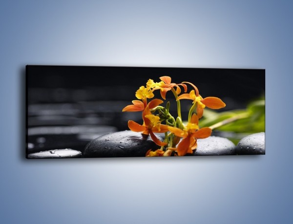Obraz na płótnie – Gałązka małych storczyków – jednoczęściowy panoramiczny K160