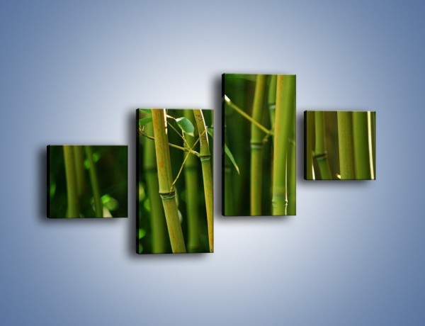 Obraz na płótnie – Bambusowe łodygi z bliska – czteroczęściowy KN118W3